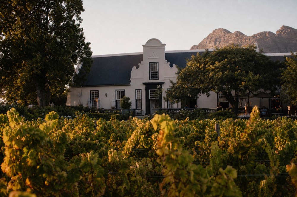 Historic Cape Dutch manor house on a Constantia wine estate, no text, no logos, no people.