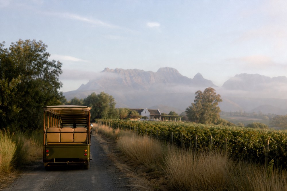 Open-air tram-bus travelling between vineyards in the Franschhoek valley, no text, no logos, no people