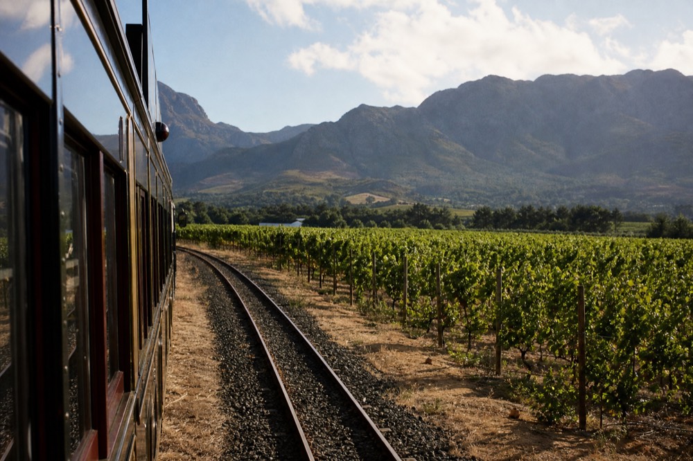 Road winding through vineyards toward Stellenbosch mountains, no text, no logos, no people