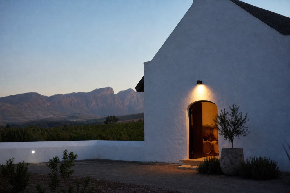 Mountain views over Stellenbosch vineyards at golden hour, no text, no logos, no people