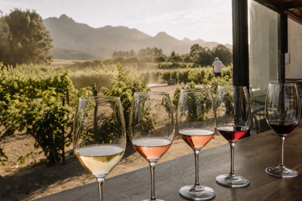 Wine tasting flight of glasses arranged on a wooden tasting room counter, no text, no logos, no people
