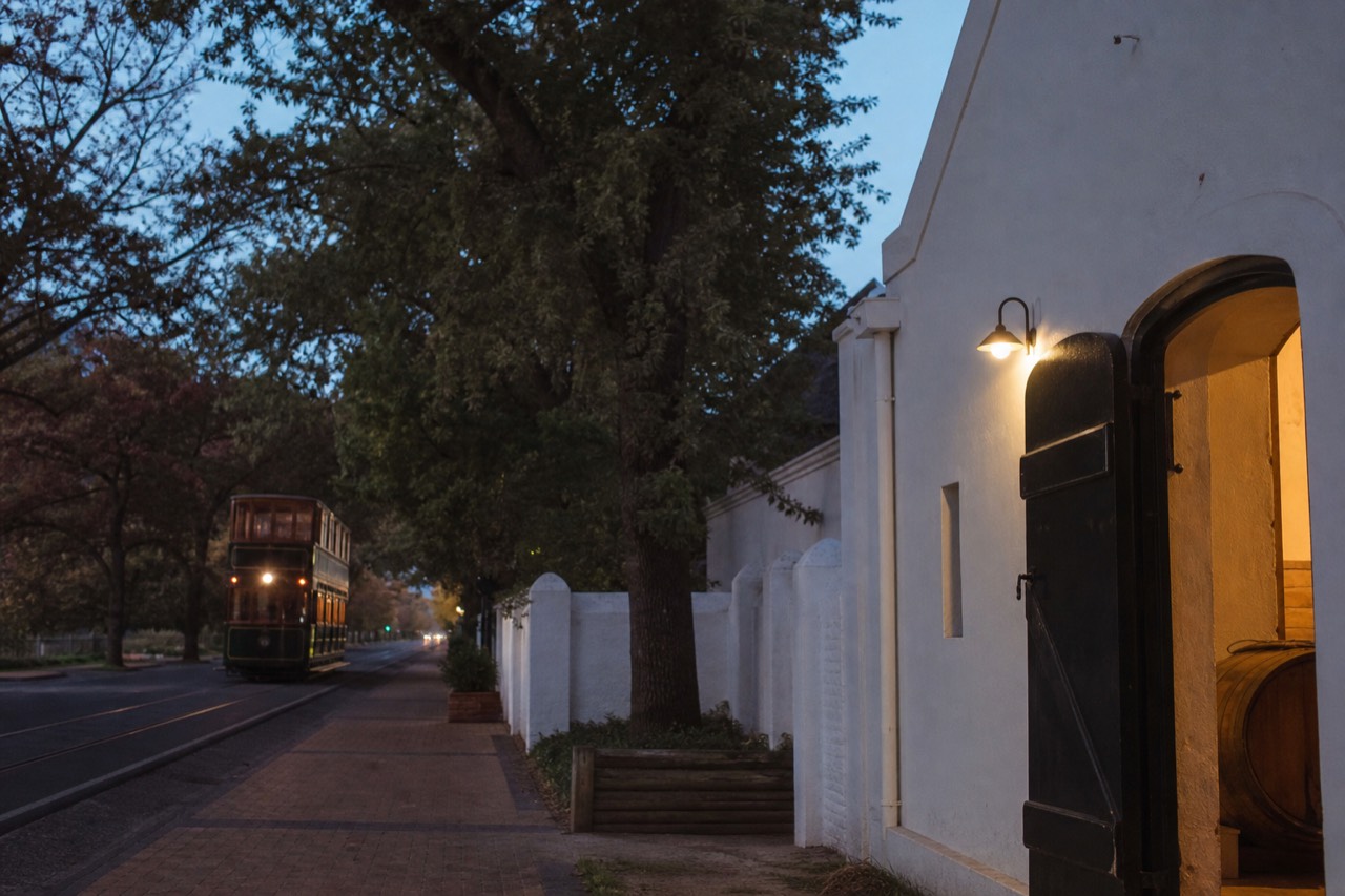 Vintage-style tram travelling a tree-lined road in the Franschhoek Valley, no text, no logos, no people