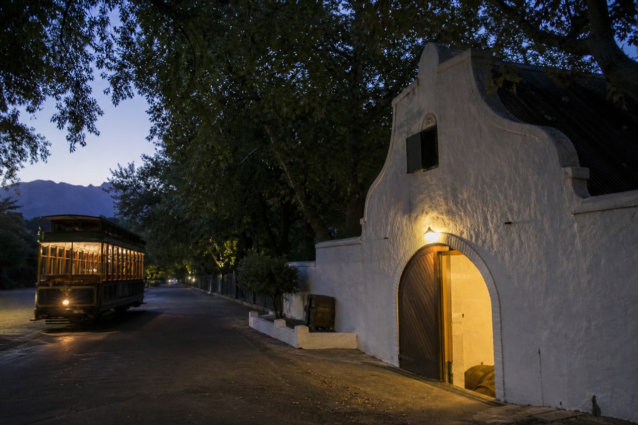 Vintage-style wine tram traveling a tree-lined road between Cape winelands estates, no text, no logos, no people