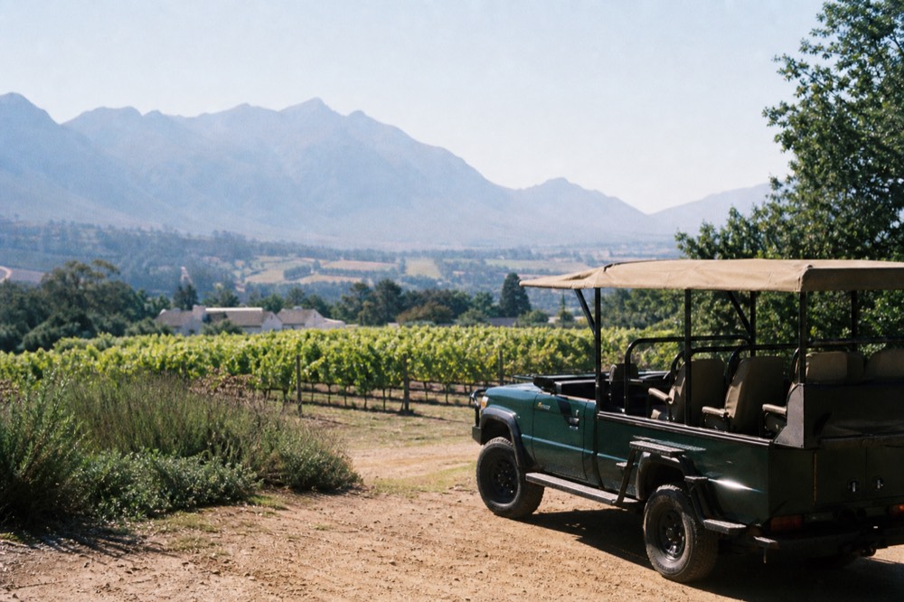 Open-air tour vehicle parked beside a Constantia vineyard, no text, no logos, no people