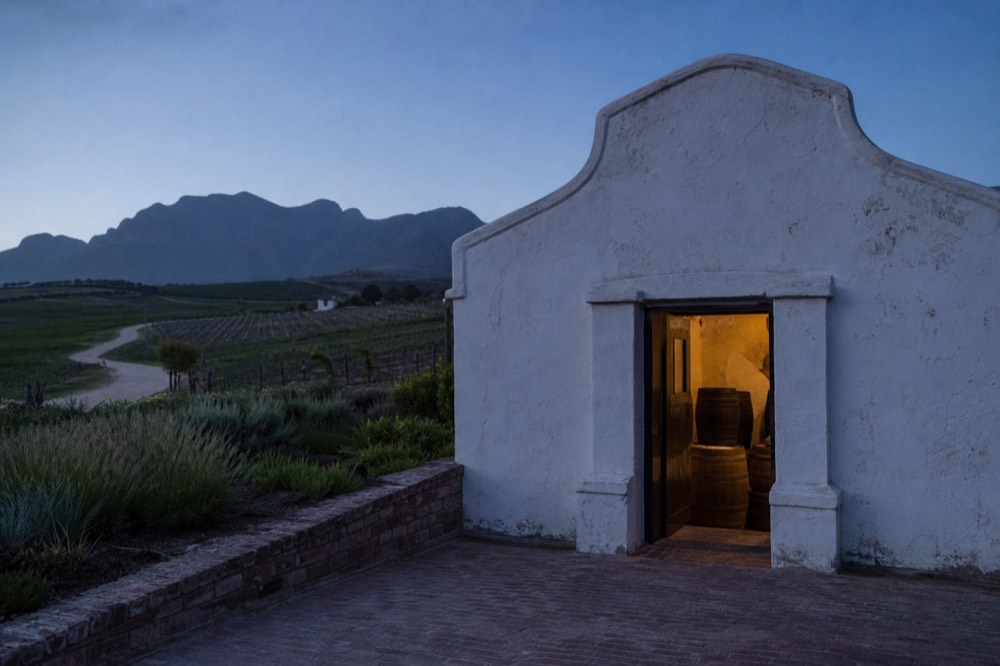 Winding winelands road through vineyards toward mountains, no text, no logos, no people