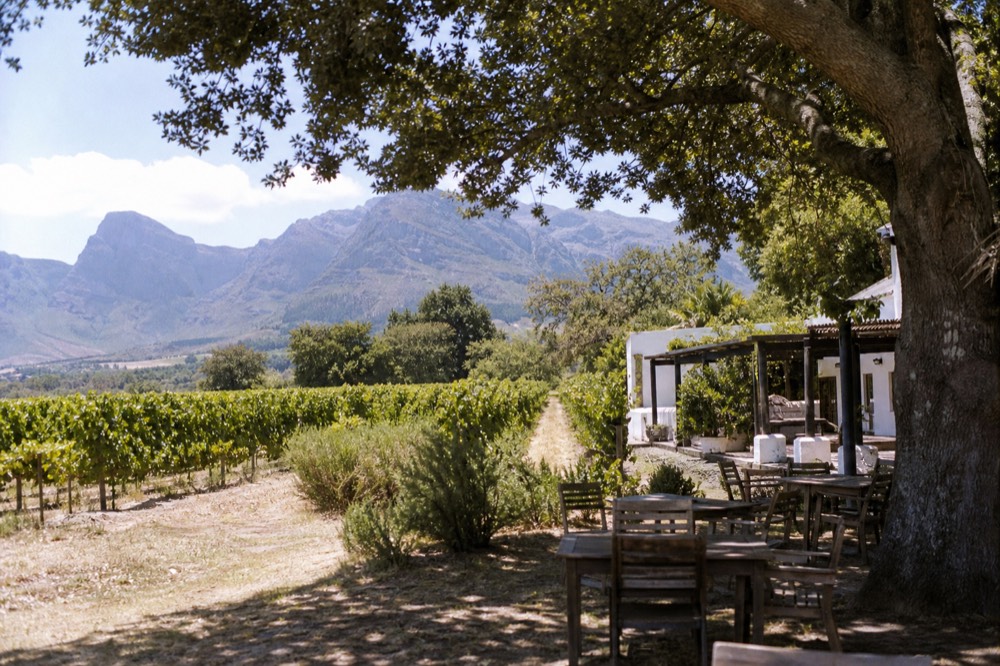 Franschhoek village main street with tree-lined sidewalks and mountains behind, no text, no logos, no people