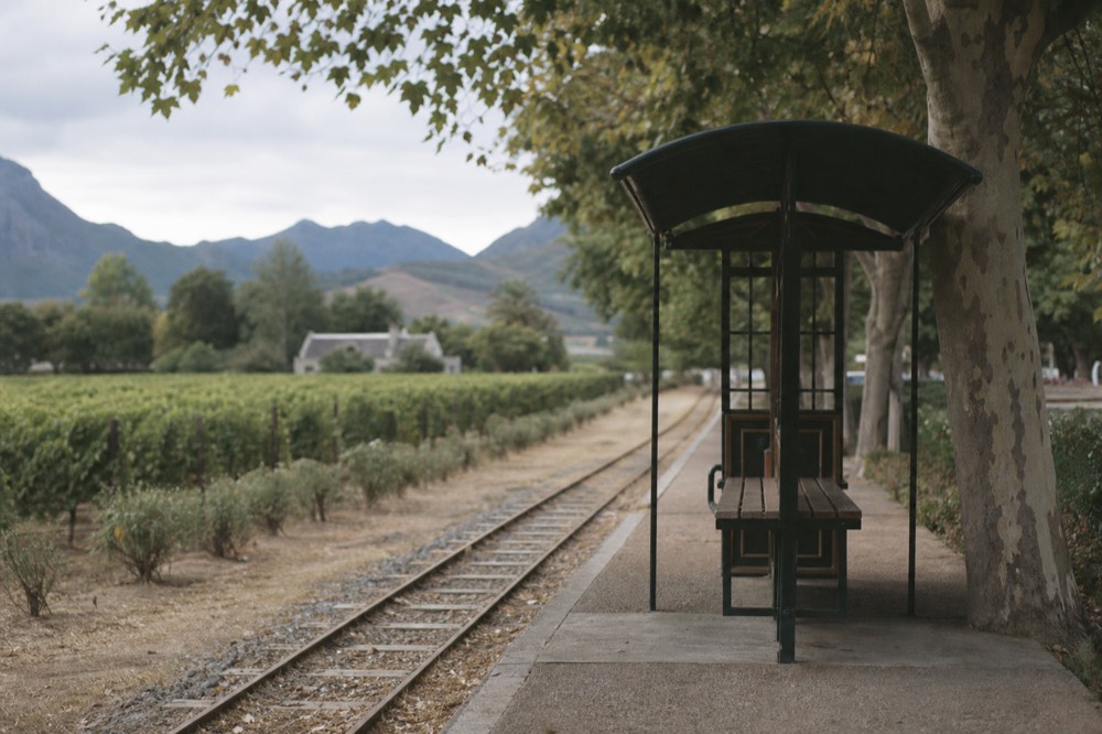 Tram stop sign beside vineyard rows in Franschhoek, no text, no logos, no people