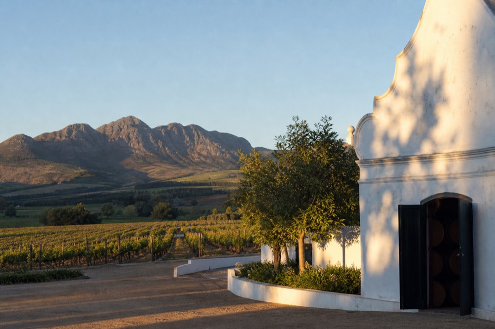 Oak barrels stacked in a dark Paarl wine cellar, no text, no logos, no people