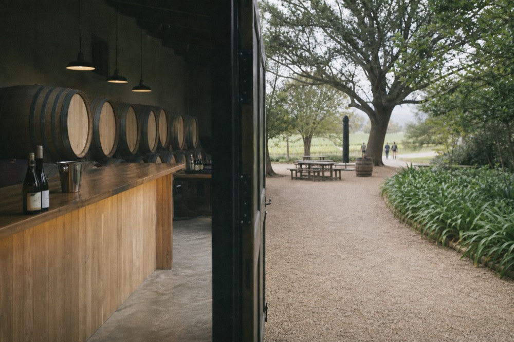 A cellar door with barrels and a tasting counter, no text, no logos, no people