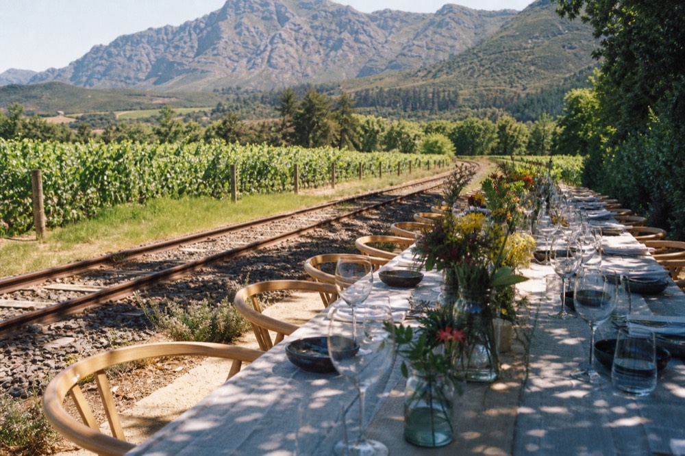 Long farm table lunch set among vineyards with mountains behind, no text, no logos, no people