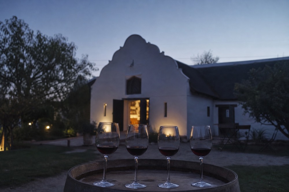Four glasses of red wine lined on a barrel top in a Cape tasting room, no text, no logos, no people